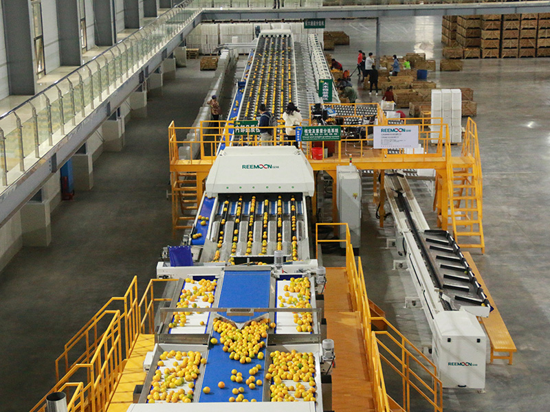 Refined sorting line